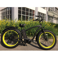 Most Popular Electric Bicycle in The World Ebike Factory